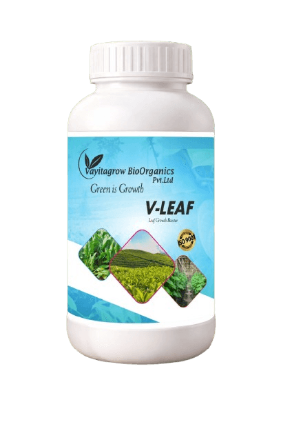 V-LEAF product pack