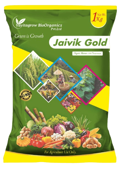 JAIVIK GOLD product pack